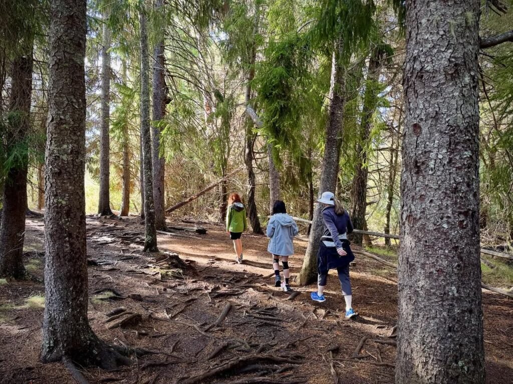 A family hikes along a shaded dirt trail surrounded by tall evergreen trees in the Pacific Northwest.
