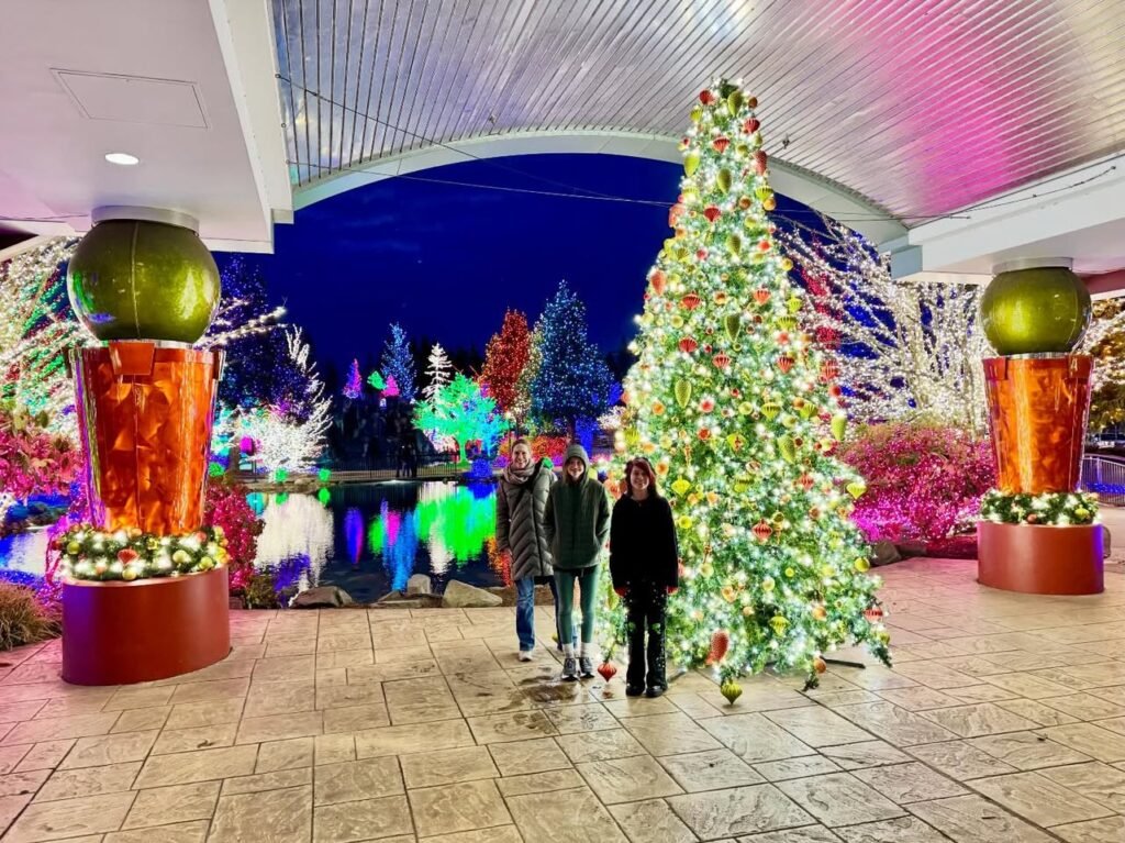 A holiday venue entrance at night featuring a decorated Christmas tree and colorful lights.