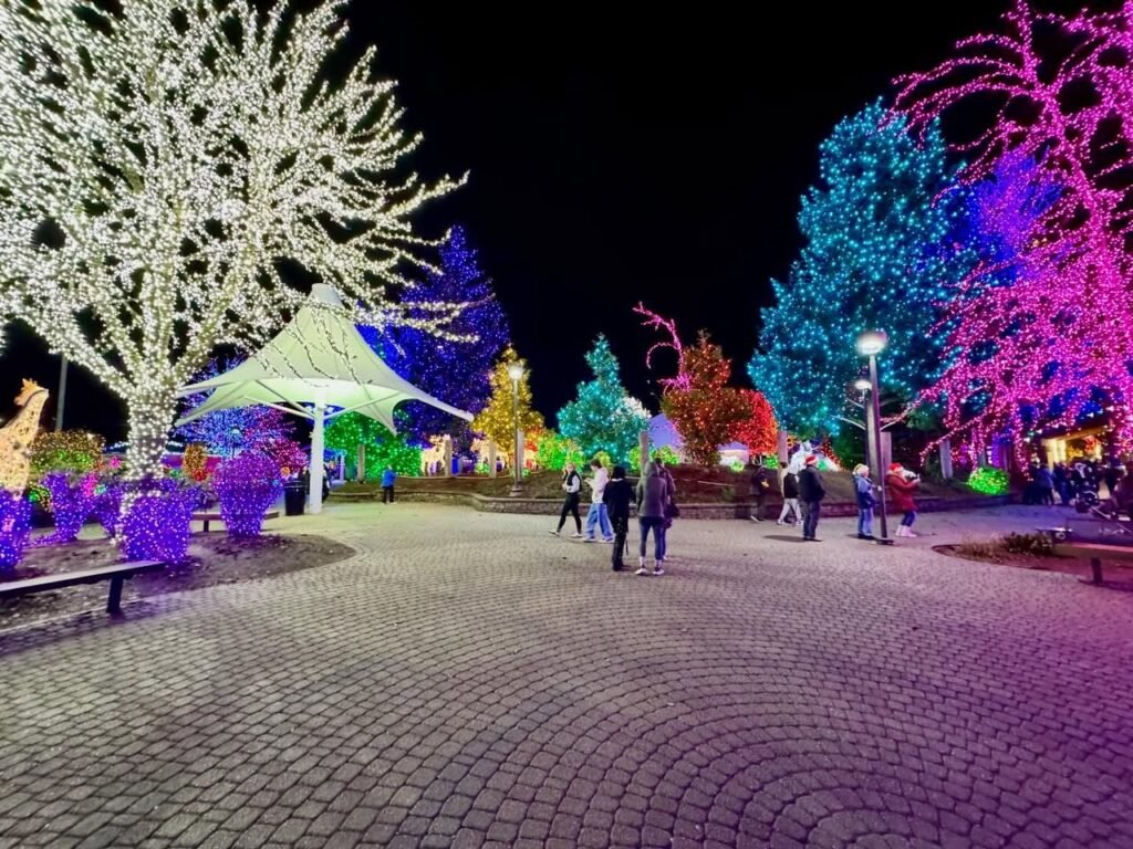 A cobblestone walkway lined with trees wrapped in vividly colored holiday lights at night. People stroll through the illuminated park setting.