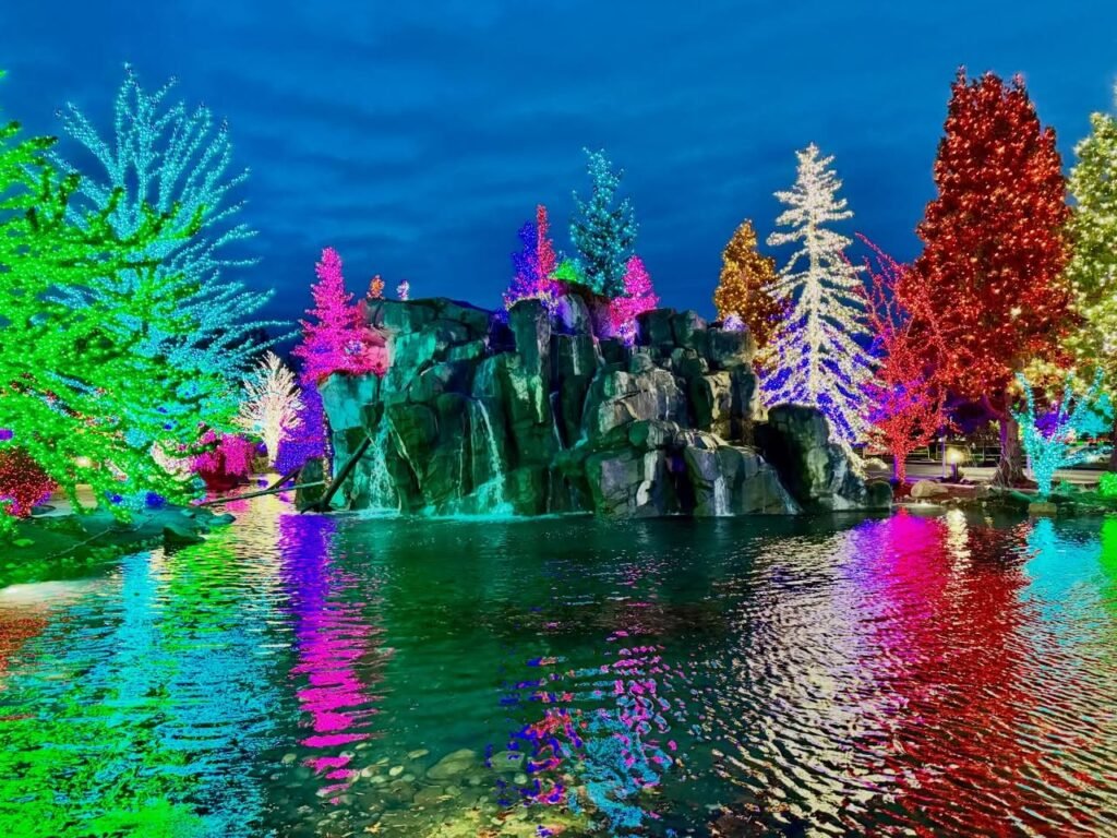 Colorful reflections of illuminated trees on a lake's surface.