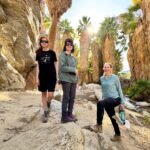 A group of three people posing among tall palm trees and rocky canyon walls on a sunny day.