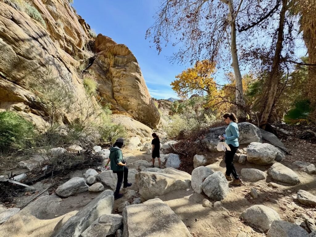 A group navigates rocky terrain alongside a canyon wall under a blue sky with autumn trees.