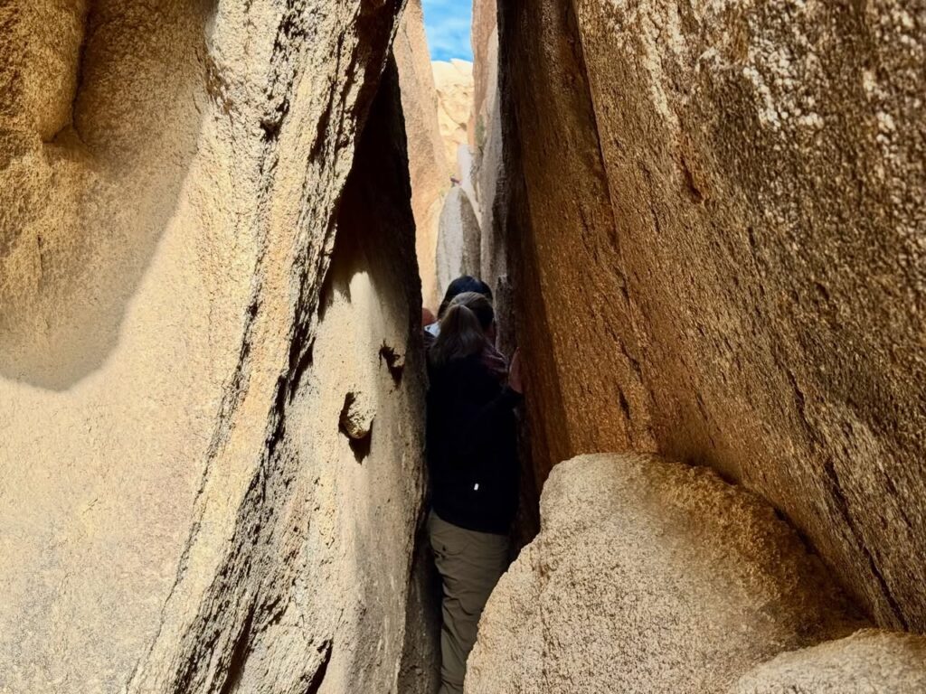 Narrow rock passage where a hiker squeezes between towering granite walls in Joshua Tree. The image highlights a popular rock crawling route.