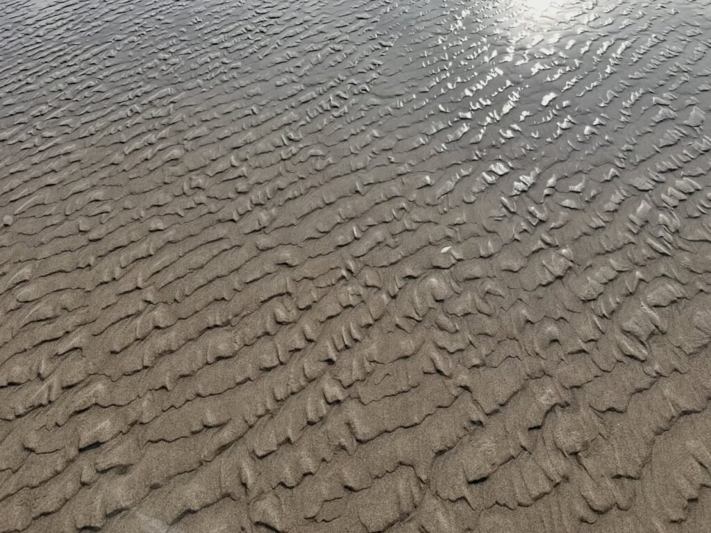 A close-up view of rippled sand patterns on a wet beach, showcasing the intricate textures created by tides.