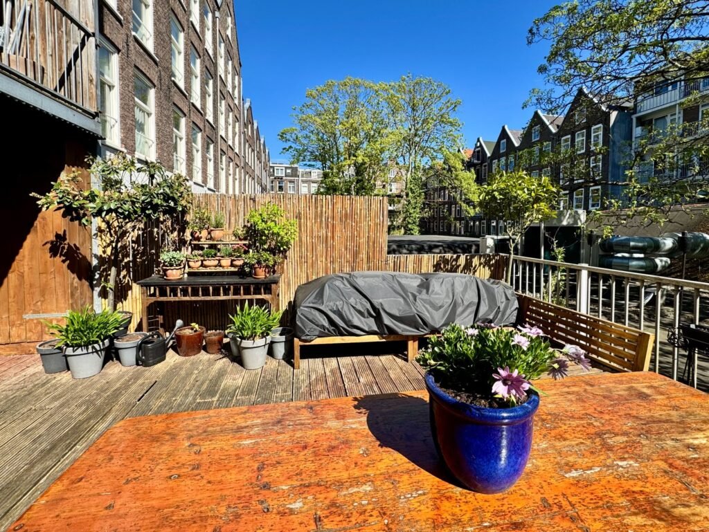 A rooftop garden with potted plants, wooden benches, and city skyline views in the Pacific Northwest.