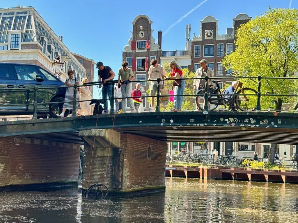 A brick bridge spans a canal in Amsterdam on a sunny day. Traditional Dutch architecture lines the banks with bright yellow blossoms in the foreground.