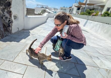 A traveler crouches down to interact with a small, stray cat on a bright, sunny terrace with coastal architecture visible in the background.