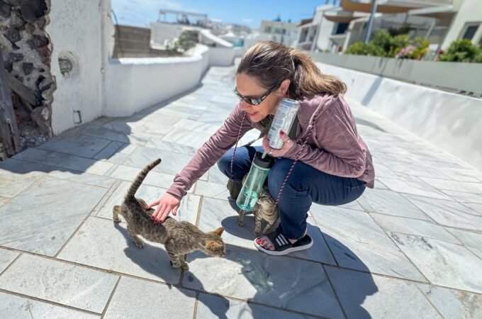 A traveler crouches down to interact with a small, stray cat on a bright, sunny terrace with coastal architecture visible in the background.