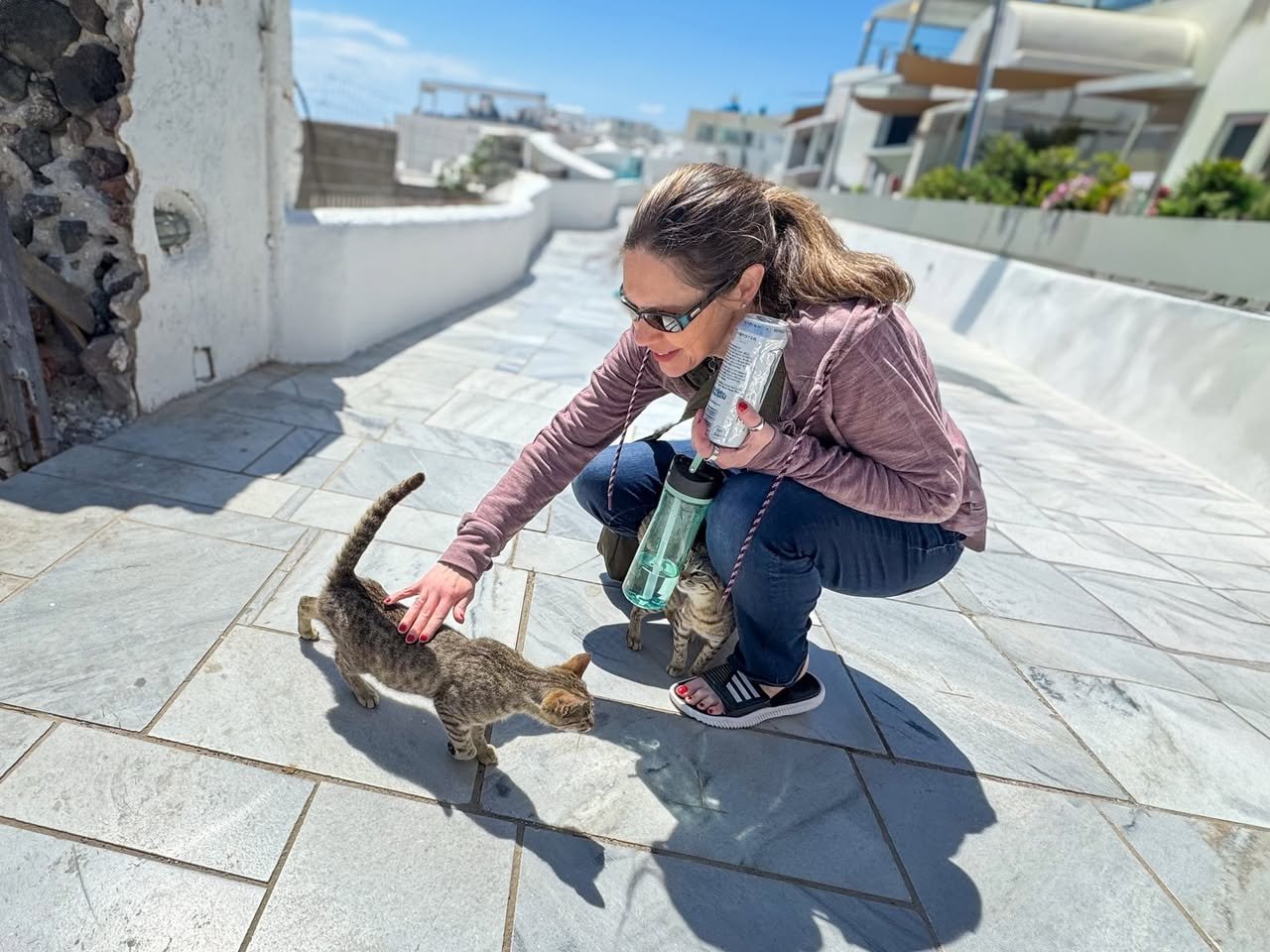 Cats of Santorini A traveler crouches down to interact with a small, stray cat on a bright, sunny terrace with coastal architecture visible in the background.