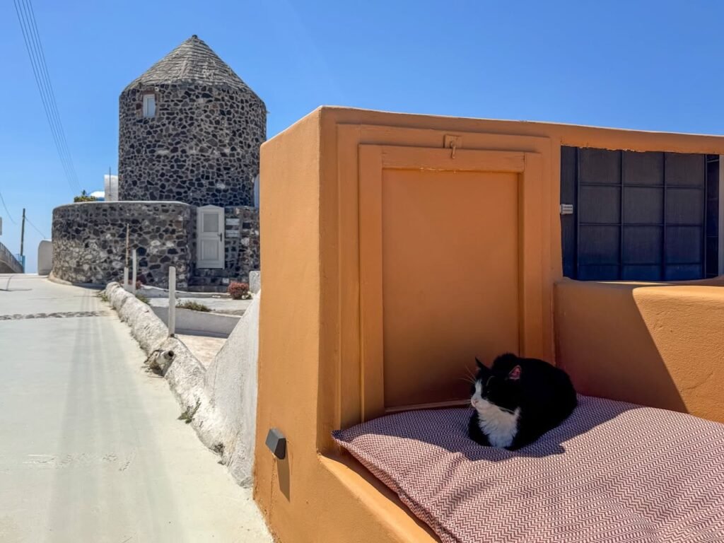 A black and white cat lounges by a coastal building beside an old stone tower under a clear blue sky.