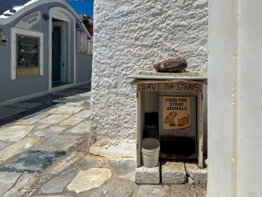 A small shelter with bricks for a stray cat sits next to a stone path.