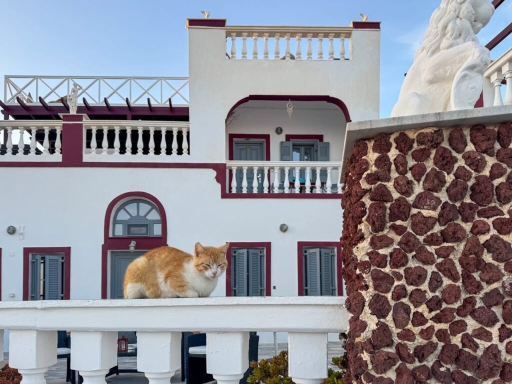 A ginger cat lounges on the white balcony of a white building with red accents. The building features arched doorways and architectural details typical of Mediterranean style.