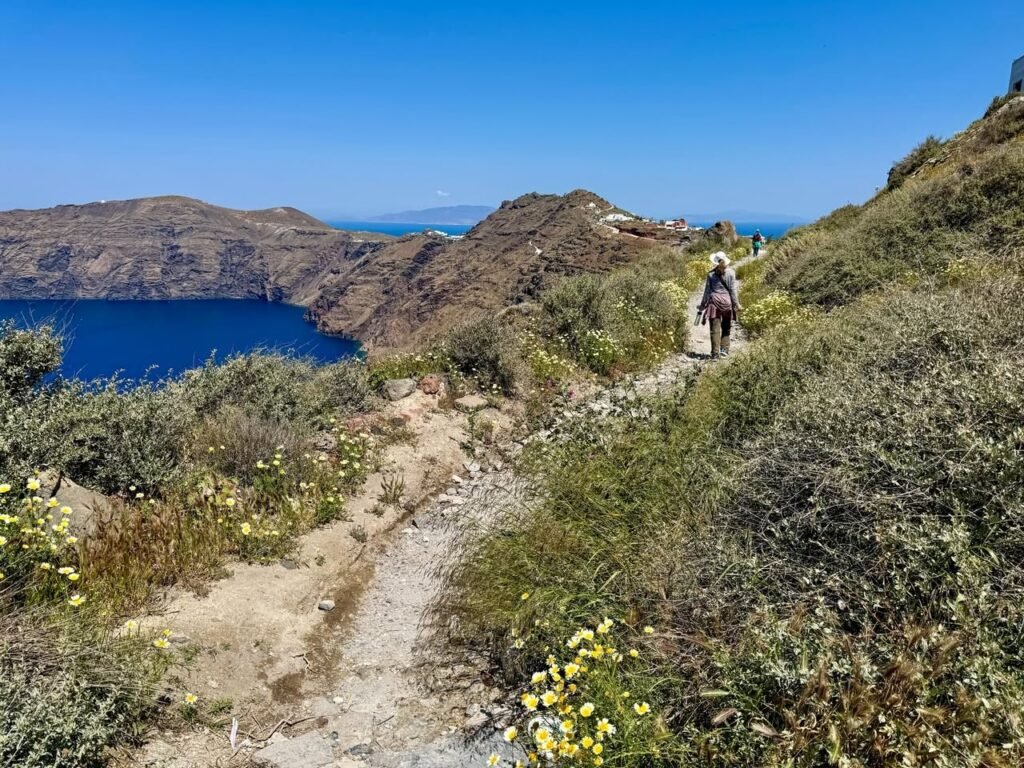 A narrow dirt trail winds through coastal brush with clear blue water visible in the distance under a sunny sky.