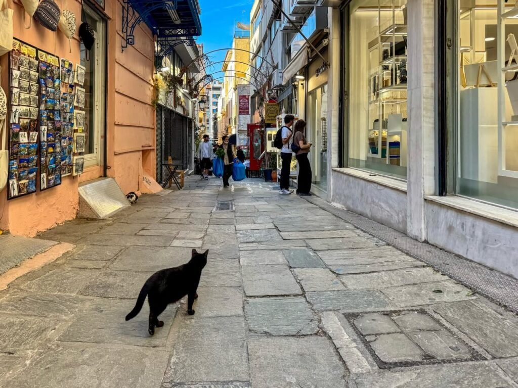 A black cat walks across a sunlit cobblestone street in a narrow European city alley with old buildings.