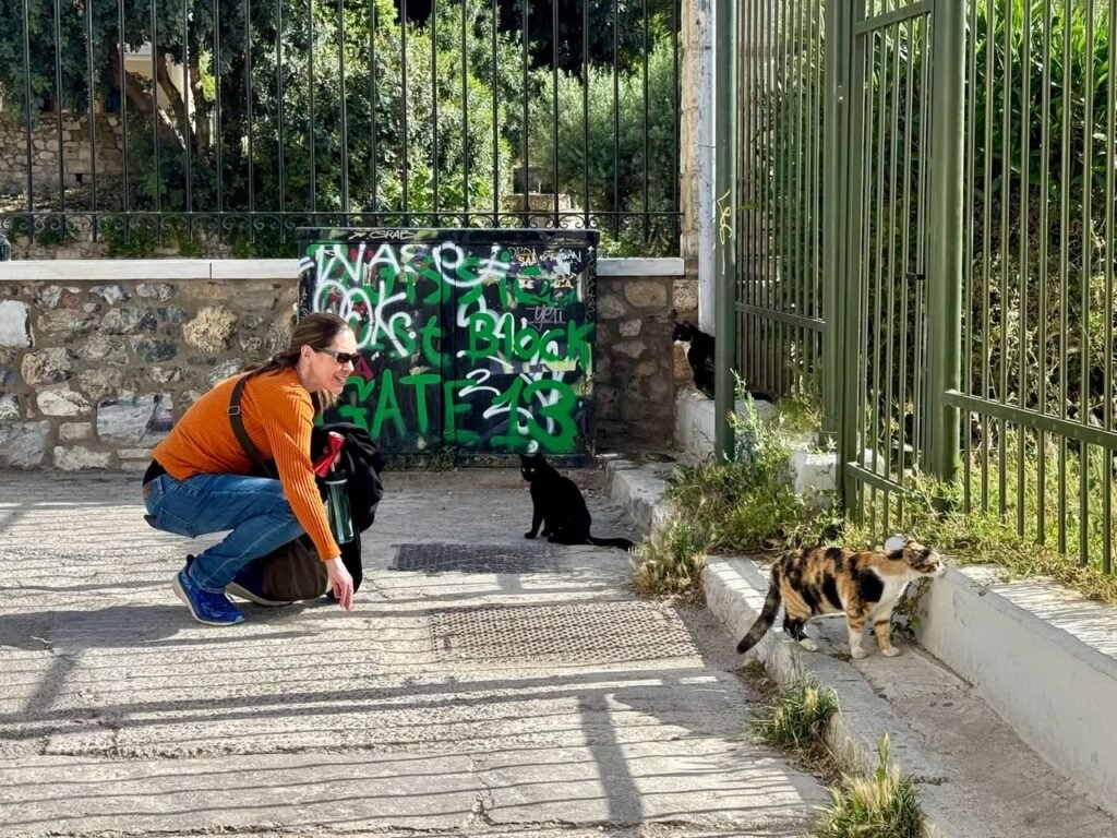 A person crouching on a stone sidewalk to interact with stray cats near a gate with graffiti and lush greenery.