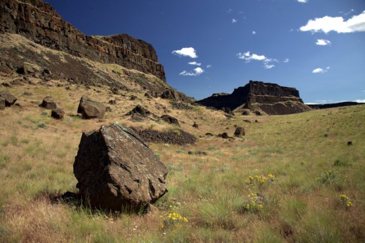 Wide view of a grassy area with scattered boulders, hills, and a clear blue sky.