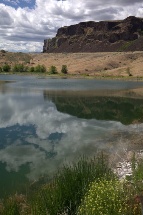 A scenic view of a calm body of water reflecting a prominent rock bluff and a cloudy sky. The foreground features lush green vegetation and wildflowers.