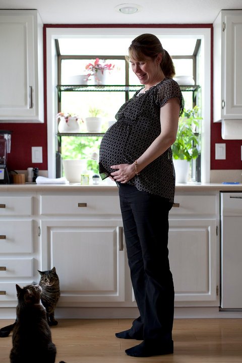 A pregnant person holds their belly in a bright kitchen with white cabinets and a window. Two cats look up from the floor nearby, adding a sense of domestic life.