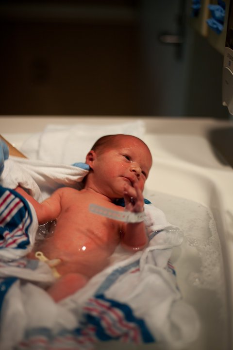 New Arrival in the Hospital Bassinet