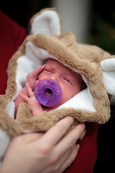 A newborn baby wearing a hooded, fur-trimmed blanket with a pacifier in its mouth, being held by an adult.
