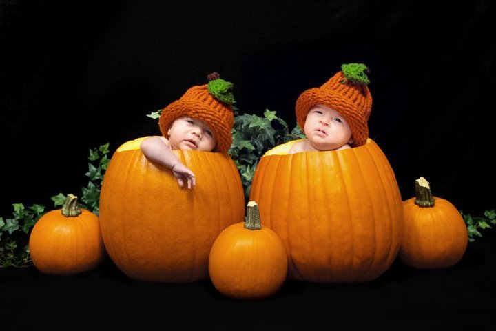 Babies wearing knitted pumpkin costumes sit inside hollowed pumpkins with smaller pumpkins and greenery.
