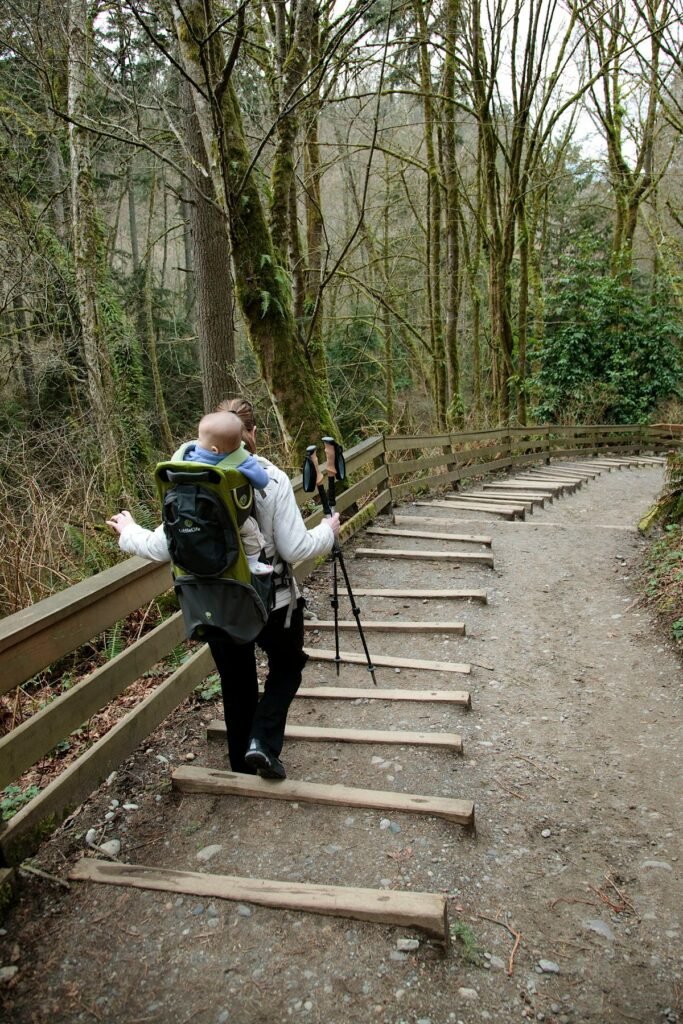 A hiker with a tripod walks along a forest path with wooden steps.
