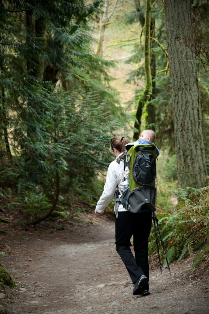 A parent hiking on a forest trail with a toddler in a child carrier. The path winds through a lush green woodland in the Pacific Northwest.