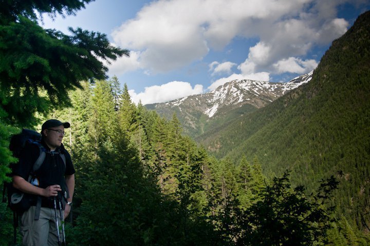 A hiker with a backpack stands in a lush green forest, gazing toward distant mountains under a partly cloudy blue sky.
