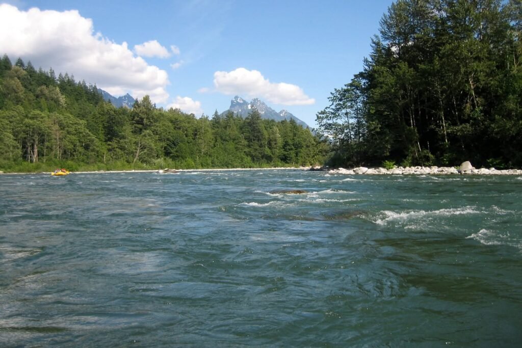 A view from a raft on a rushing river with dense evergreen forests and mountains in the distance under a bright blue sky.