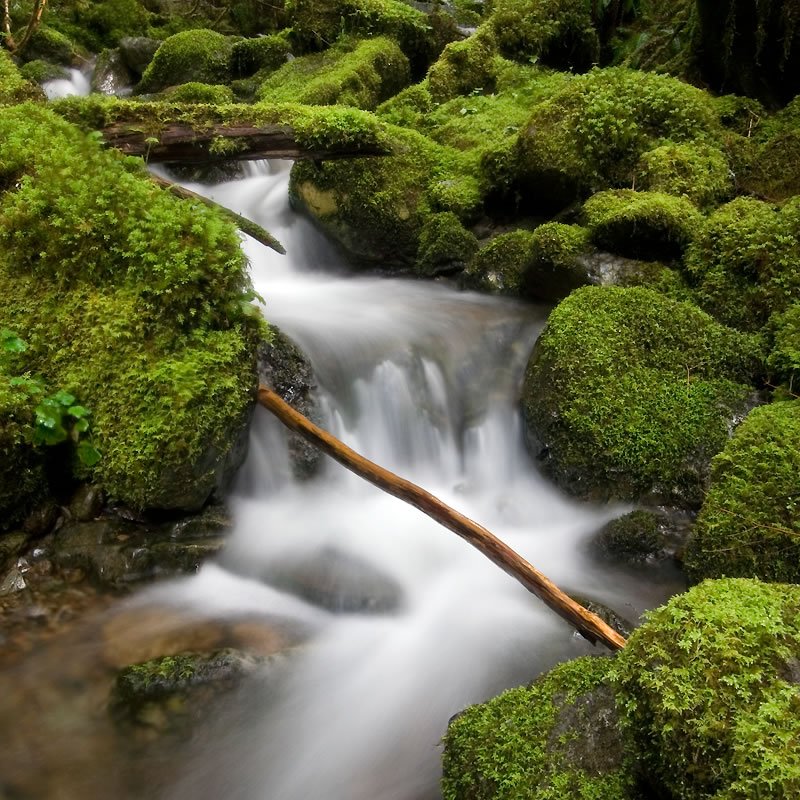 Moss-covered rocks and a flowing stream in a lush forest setting, captured with a long exposure technique to create a smooth water effect.
