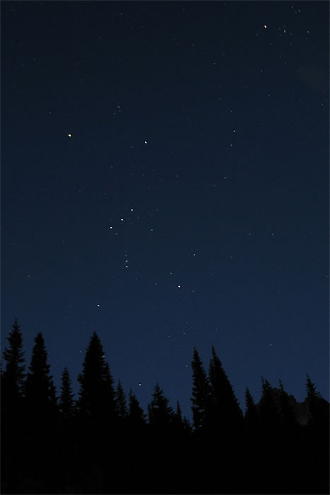 Enchanted Night Sky Over a Silhouetted Forest