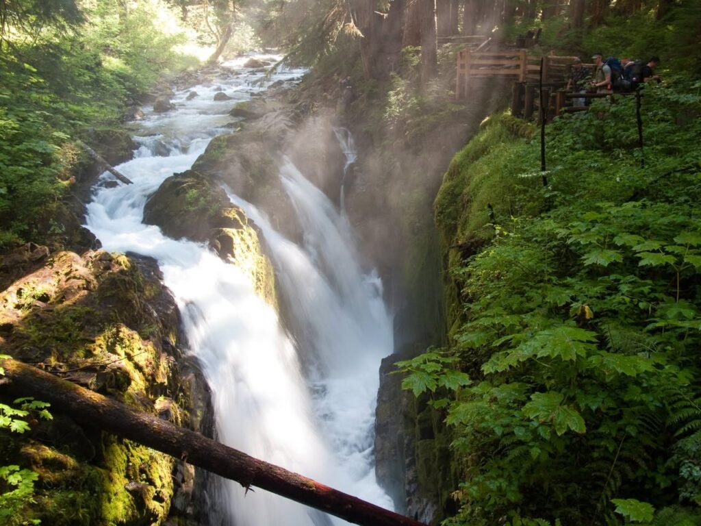 A powerful waterfall cascades over mossy rocks in a lush, green forest.