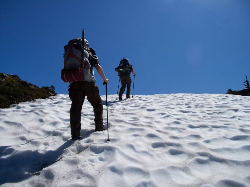 A group of hikers with trekking poles climbing a snow-covered slope under a clear blue sky. Shadows stretch across the textured snow surface.