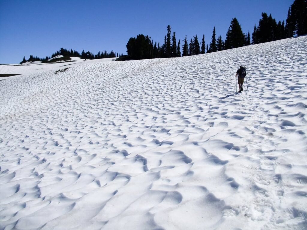 Skier on a snow-covered slope with evergreen trees and a clear blue sky in the background.