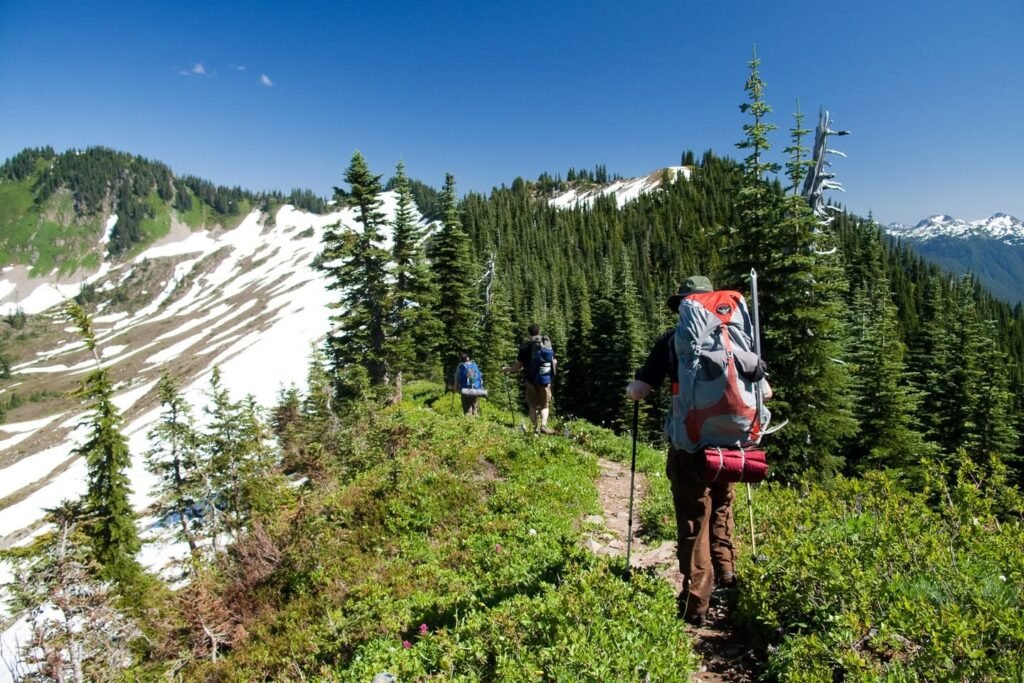 Hikers with backpacks navigate a narrow trail through lush evergreen trees and melting snowfields under a vast blue sky.