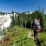 Hikers with backpacks navigate a narrow trail through lush evergreen trees and melting snowfields under a vast blue sky.