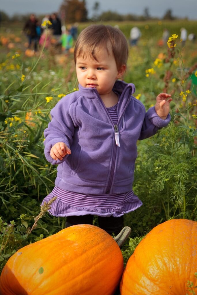 A toddler in a purple jacket standing among pumpkins at a fall farm.