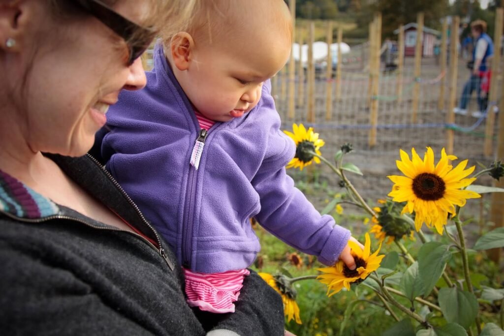 Toddler in a purple jacket reaches for sunflower buds, accompanied by an adult wearing sunglasses.