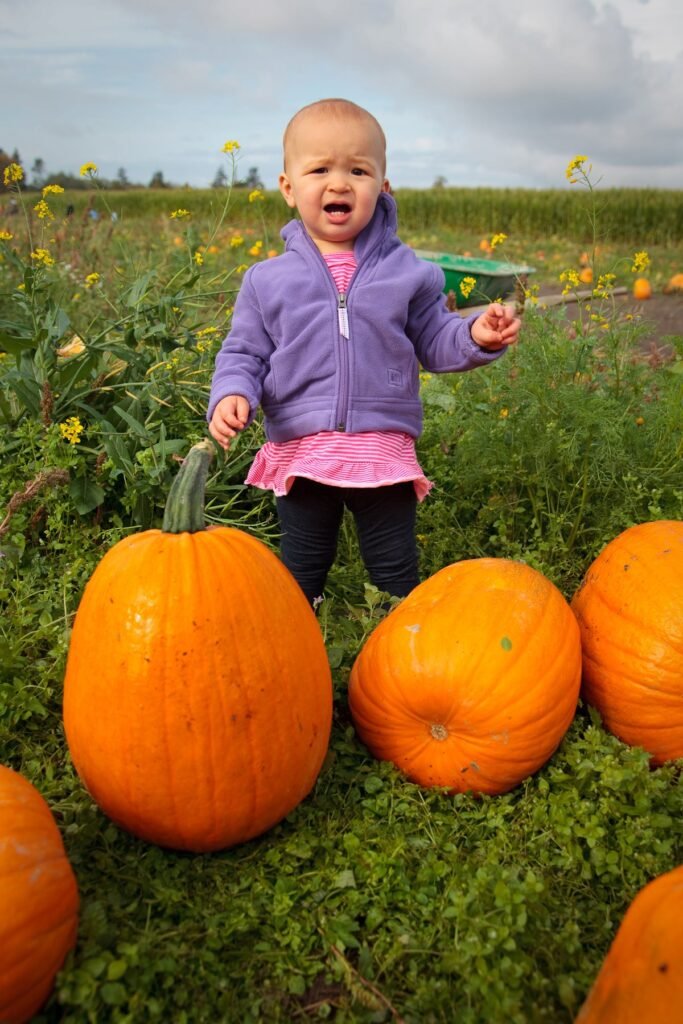 A young child visits a pumpkin patch in Portland, Oregon, surrounded by fresh, bright orange pumpkins under an overcast sky.