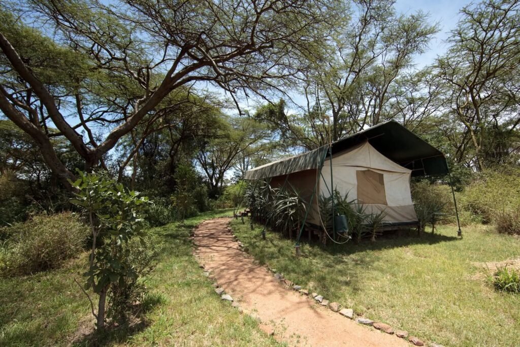 A simple cabin sits in a green landscape with a muddy walkway. The surrounding trees have spreading branches against a yellow sky.