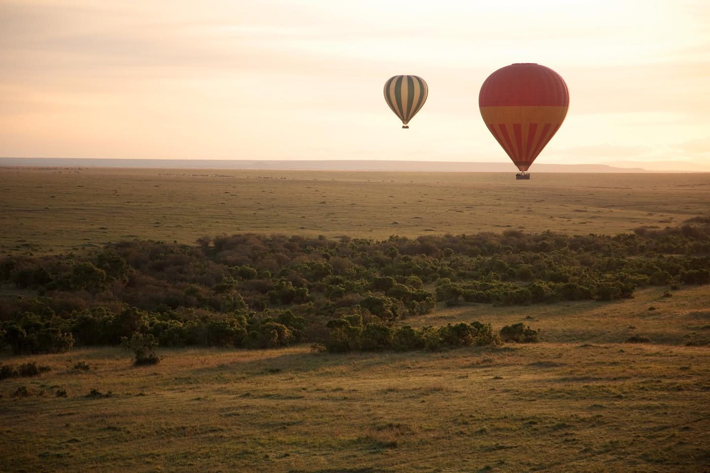Safari: Part 2 of 3 Hot air balloons floating over a vast landscape during a hot air balloon safari.