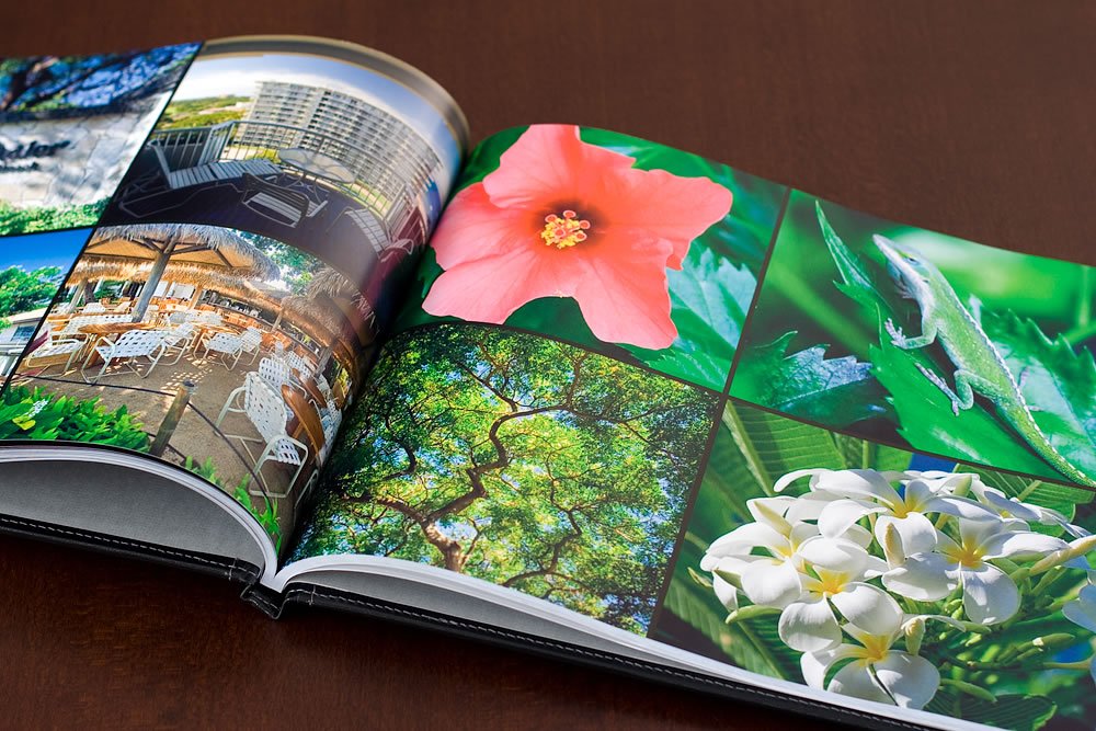Photograph Book with Colorful Flower and Nature Scenes