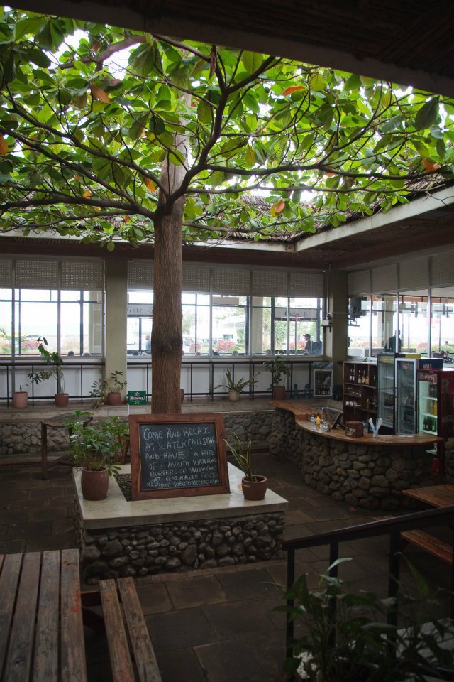 A large tree growing indoors with a glass roof and stone structures, surrounded by potted plants and wooden elements.