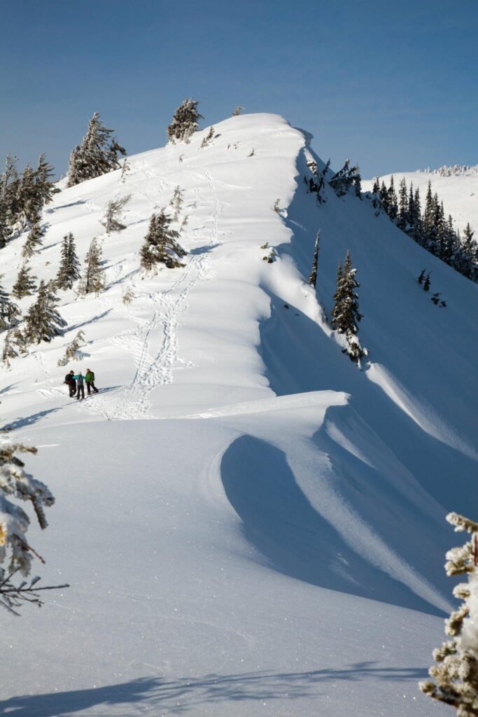 Experience the serene beauty of a snowy winter landscape in the Pacific Northwest.