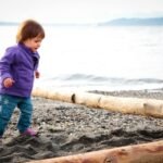 A toddler wearing a purple jacket and blue pants walks on a beach with driftwood logs and the sea in the background, capturing a moment of exploration.
