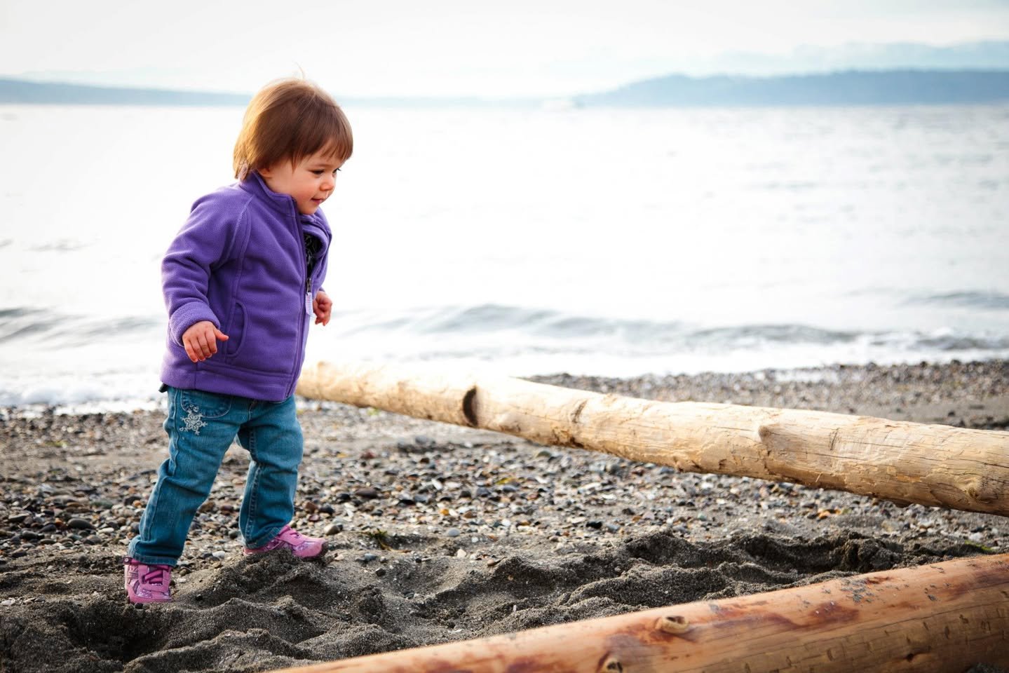 A toddler wearing a purple jacket and blue pants walks on a beach with driftwood logs and the sea in the background, capturing a moment of exploration.