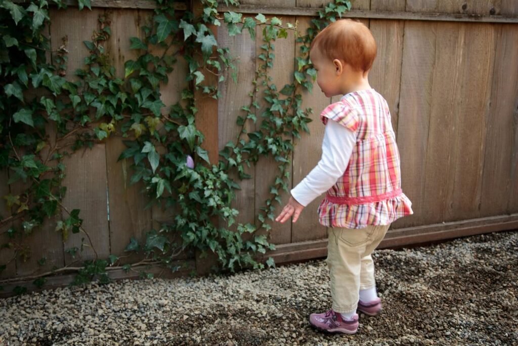 A toddler in a plaid dress stands on a gravel path, reaching towards ivy growing on a wooden fence in a backyard.