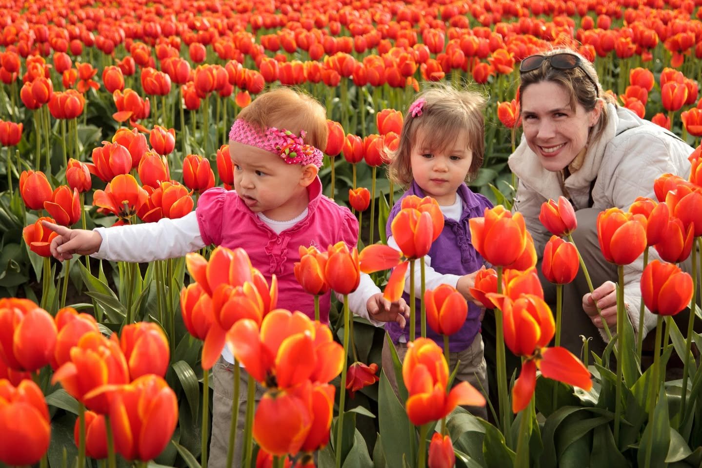 Tulip Festival A family wonders through a stunning field of vibrant red and orange tulips during a spring outing.