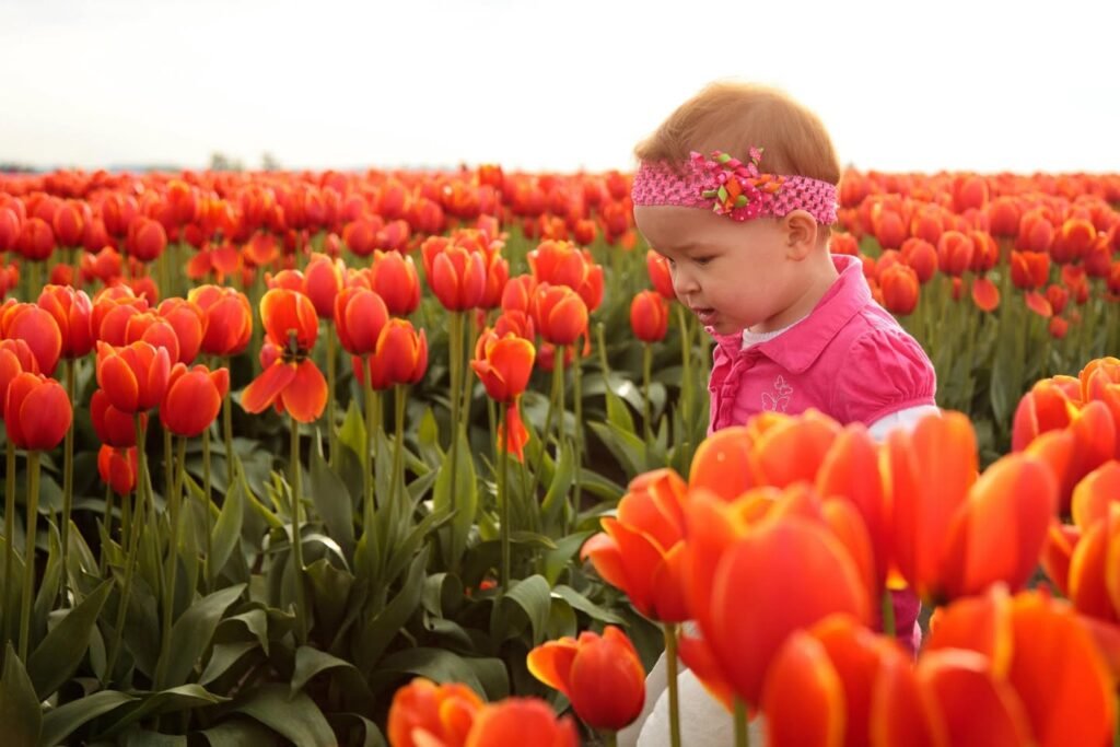 A child in a pink outfit wearing a matching headband stands amidst a field of vibrant red tulips. Multiple scenes highlight the beauty of spring flowers under a soft sky.