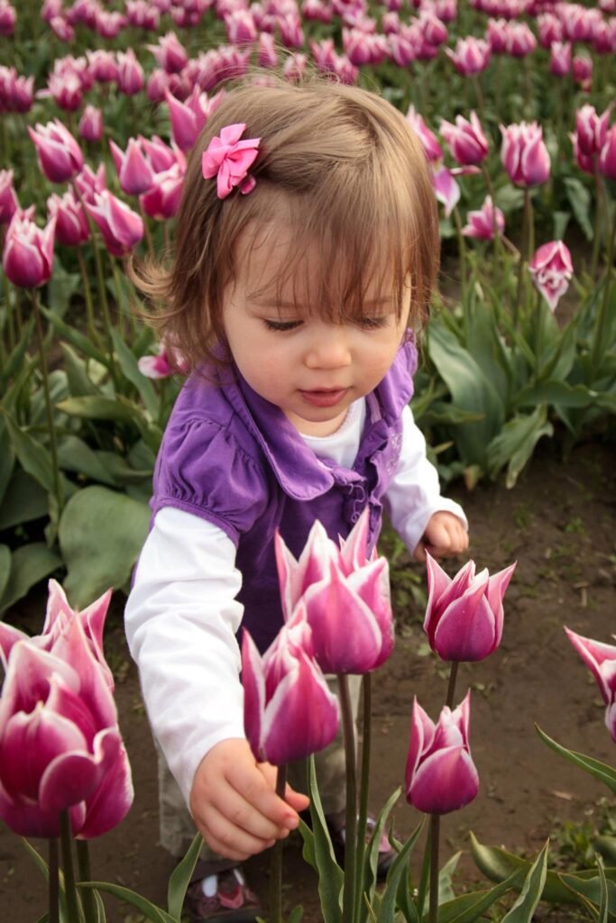 A young child in purple stands amidst rows of blooming pink and magenta tulips.